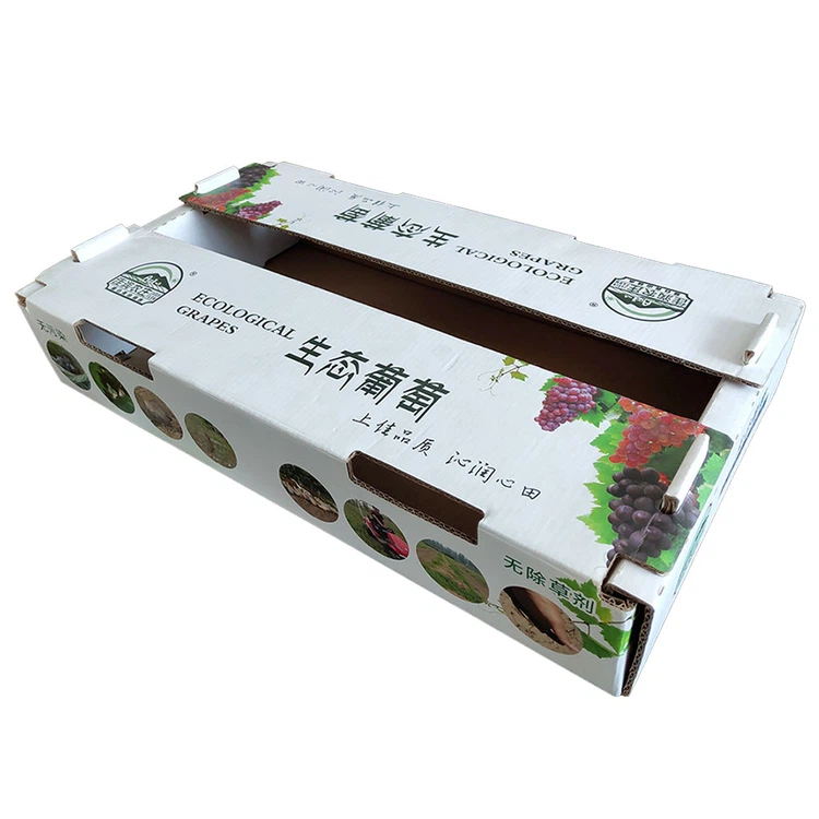 Grapes Packing Box - China Grapes Packing Box Manufacturers Suppliers