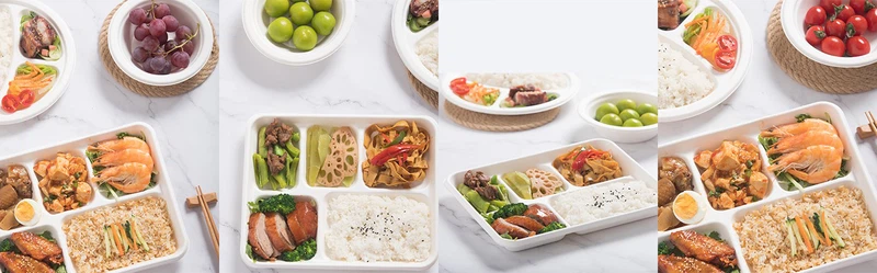 Knowledge about Sugarcane Bagasse Meal Tray Knowledge about Sugarcane Bagasse Meal Tray