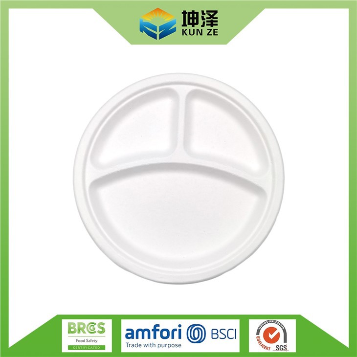 Bagasse Paper Plates