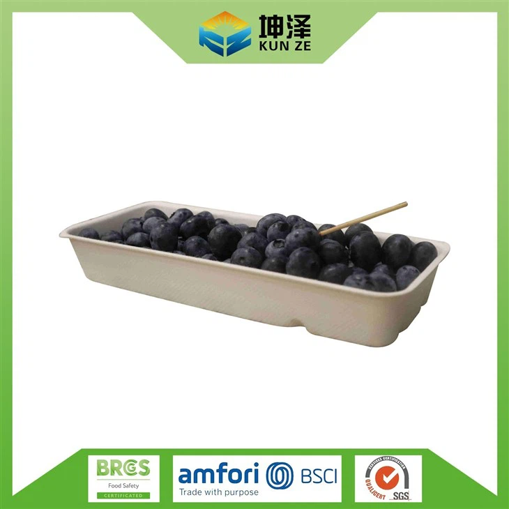 Bagasse Tray For Fruit