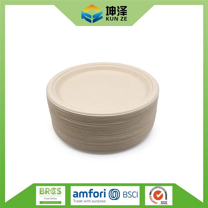 Biodegradable Sugarcane Bagasse Plates