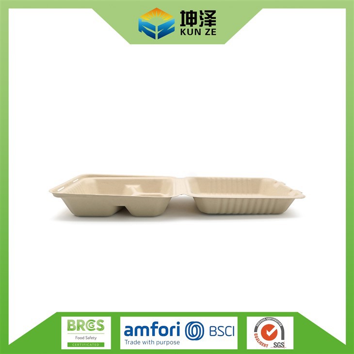 Disposable Clamshell Food Containers