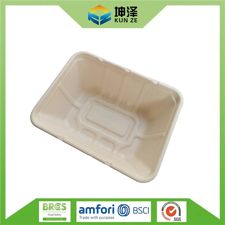 Disposable Takeaway Food Containers