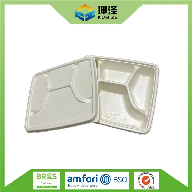 Hot Food Tray with Lid