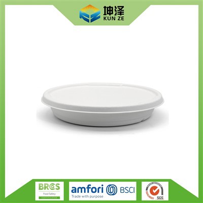 Bagasse Compostable Basin
