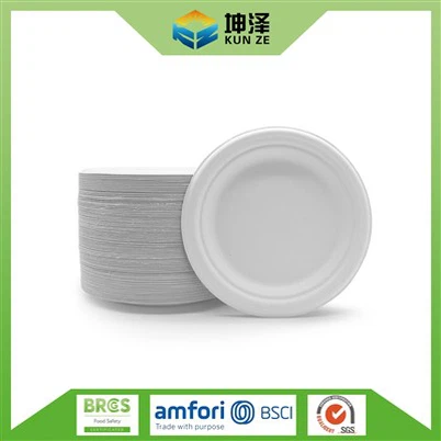 Bagasse Paper Plates