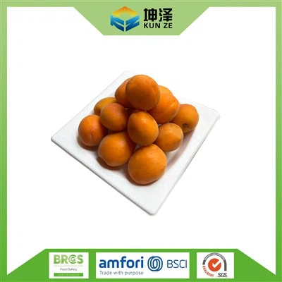 Biodegradable Sugarcane Plates