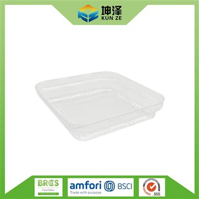 Cookie Tray With Lid