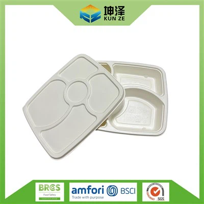 Disposable Lunch Trays With Lids