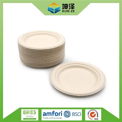 Disposable Plates Made From Sugarcane