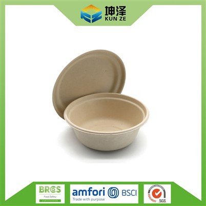 Eco Friendly Disposable Bowls