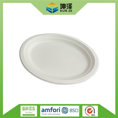 Extra Large Oval Paper Plates