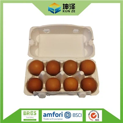 Paper Pulp Egg Tray