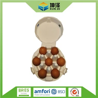 Paper Tray for Eggs