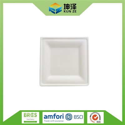 Small Square Paper Plates