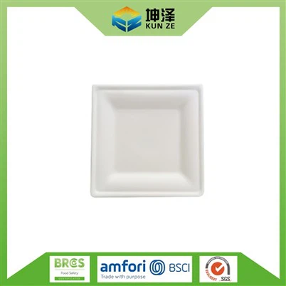 Small Square Paper Plates