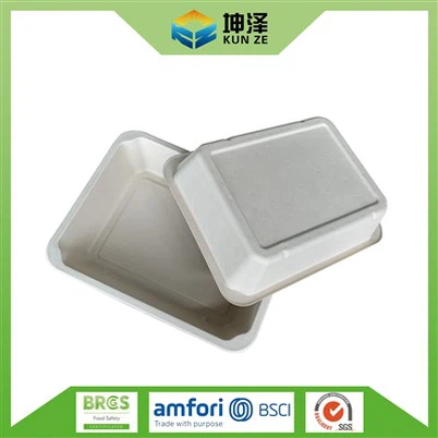Sugarcane Bagasse Containers