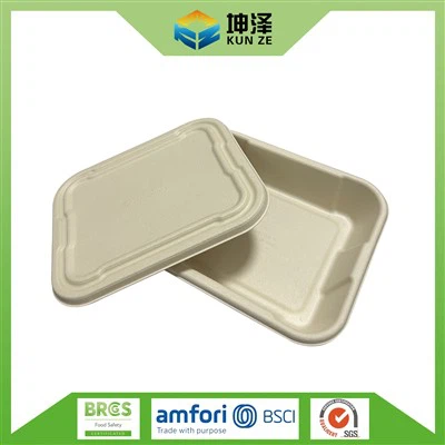 Vegetable Serving Tray With Lid
