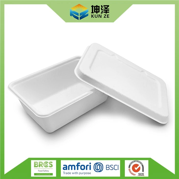 Sugarcane Bagasse Food Container