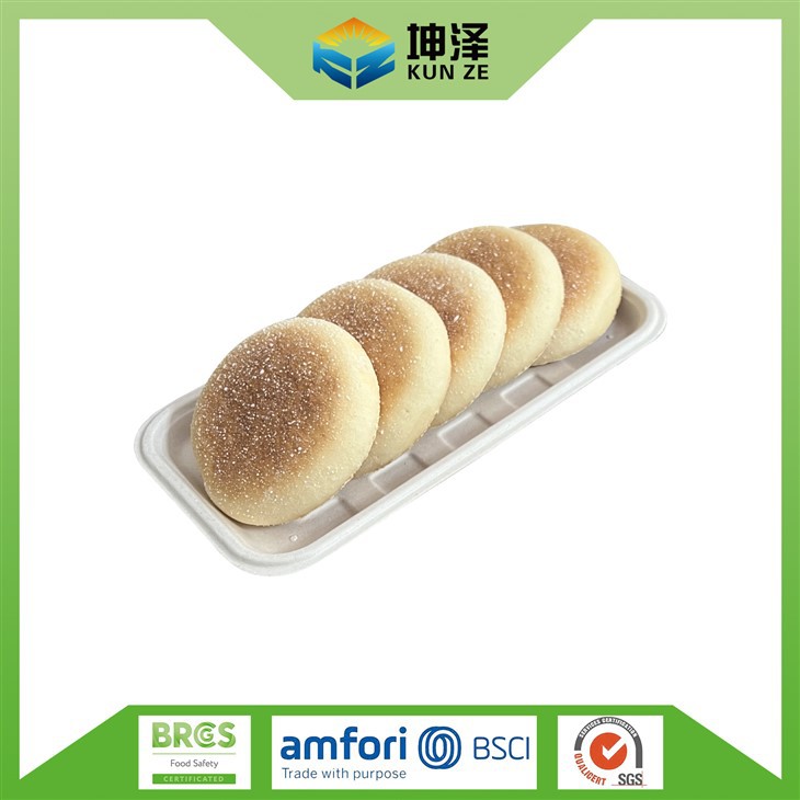 Sugarcane Bagasse Tray