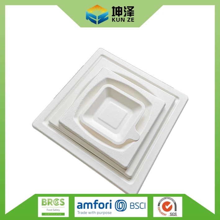 White Square Dishes