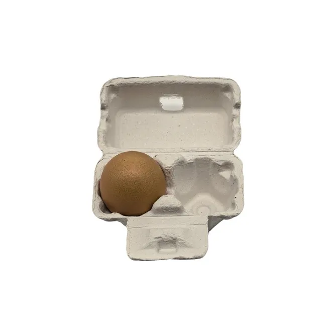 2-cell Egg Carton factory