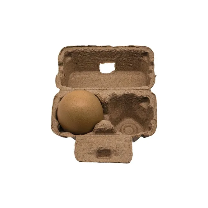 2-cell Egg Carton best