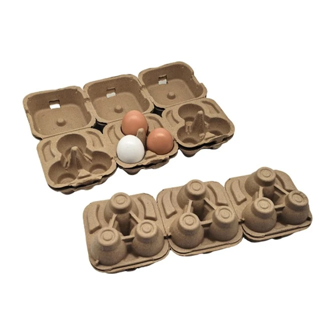 3 Egg Carton best