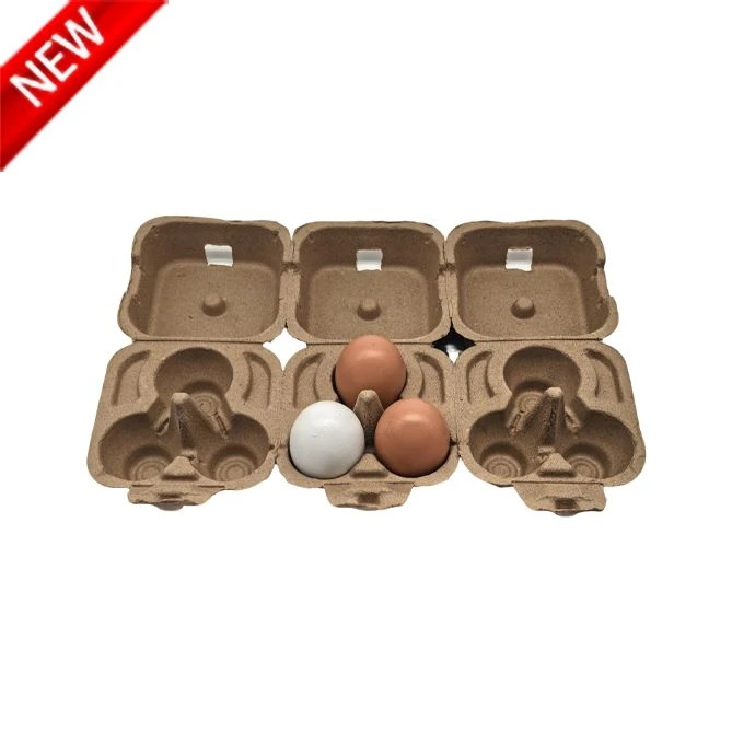 3 Egg Carton