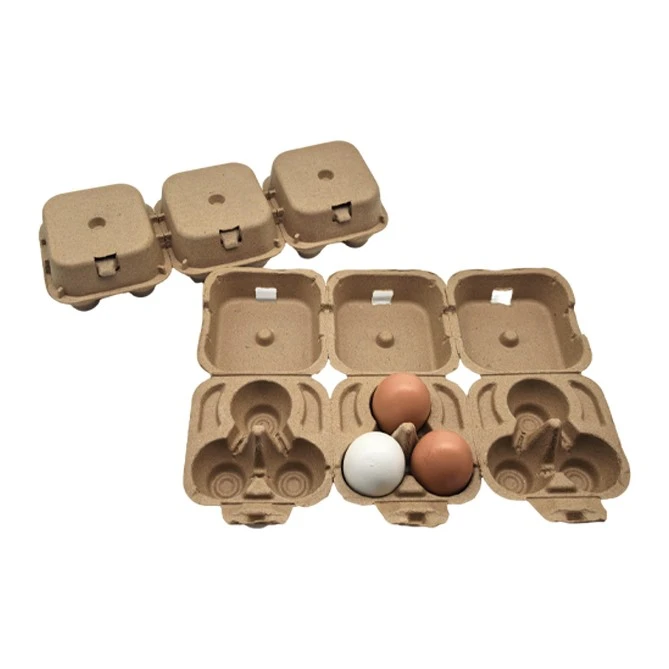 3 Egg Carton suppliers
