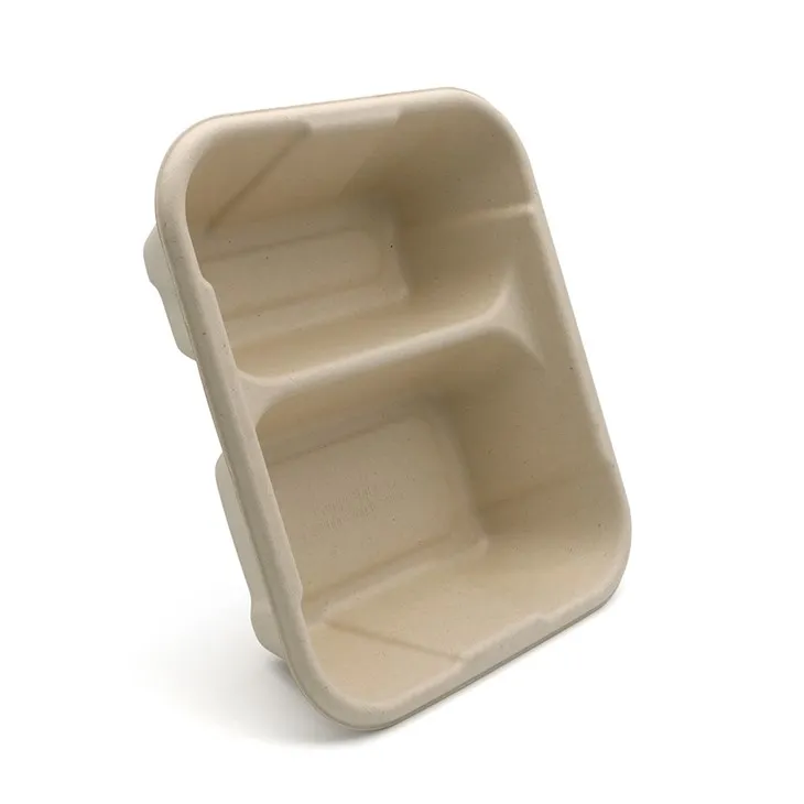 Bagasse Food Tray