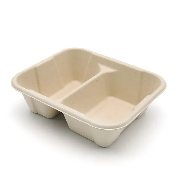 Bagasse Food Tray