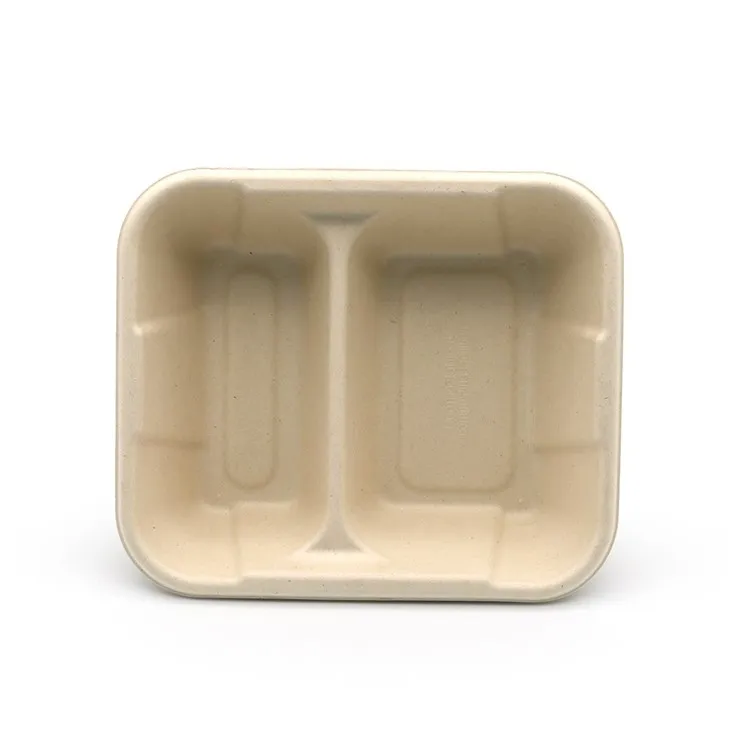 Bagasse Food Tray