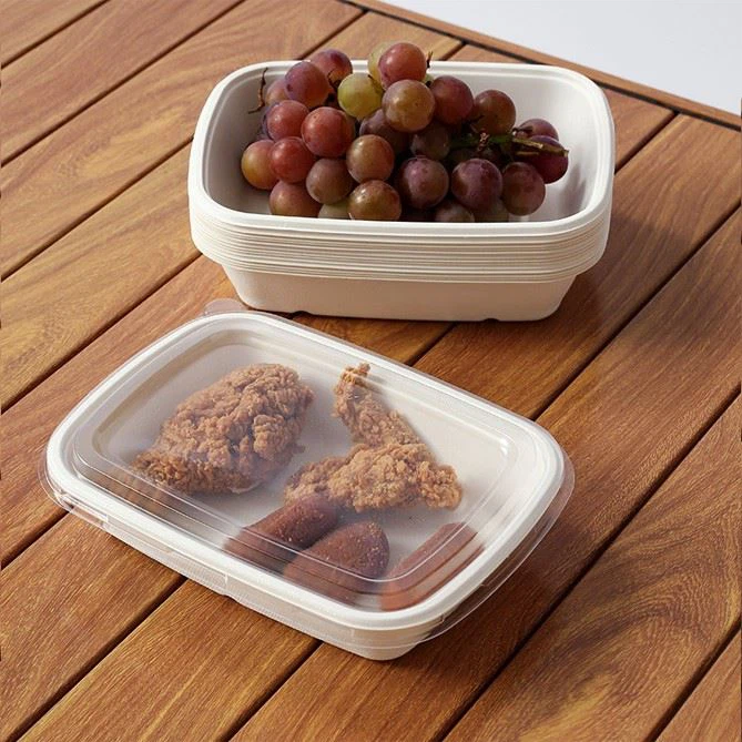 Disposable Picnic Boxes suppliers
