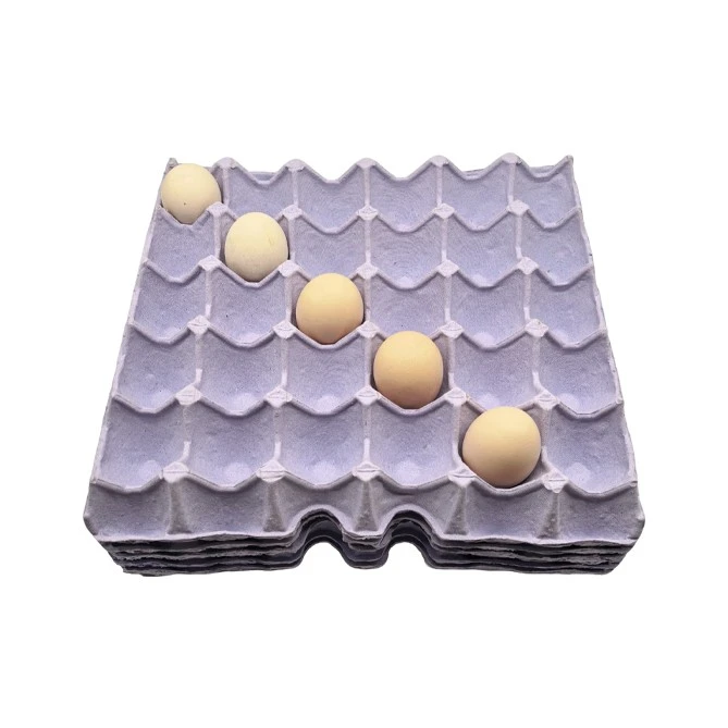 Double Yolk Egg Tray best