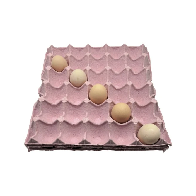 Double Yolk Egg Tray factory
