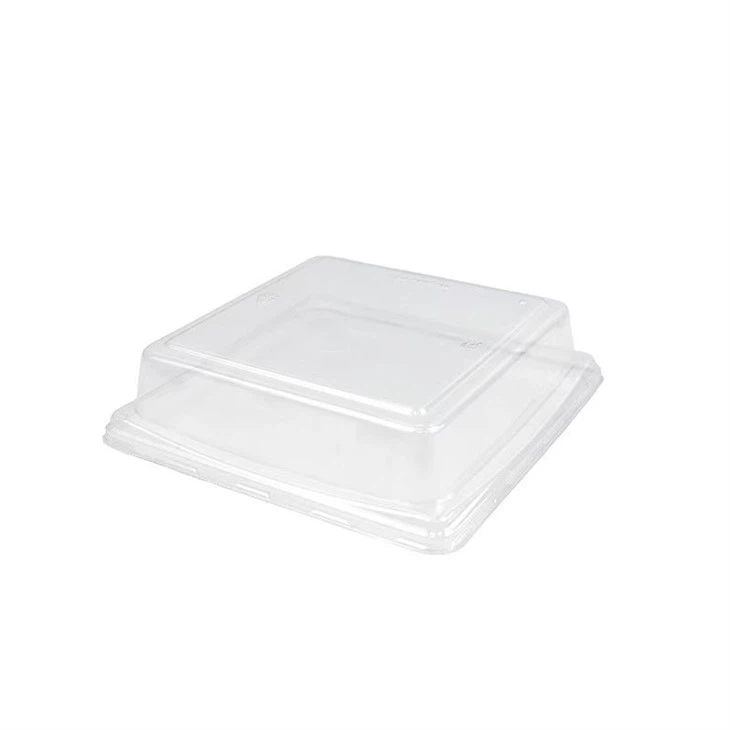 Eco Friendly Sushi Container best