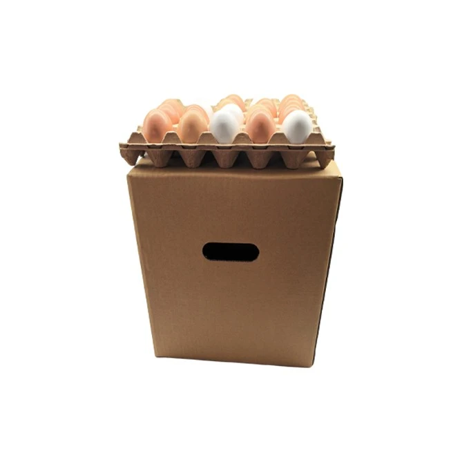 Egg Master Carton suppliers