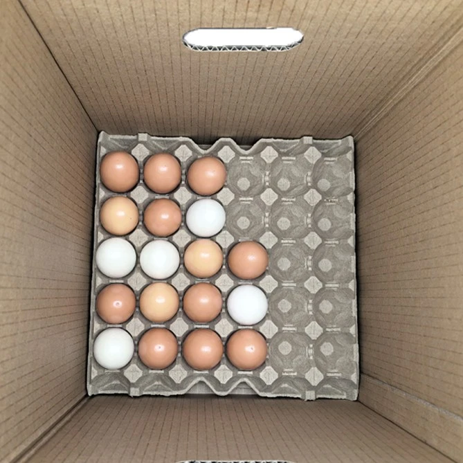 Egg Master Carton best
