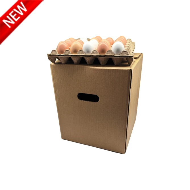 Egg Master Carton