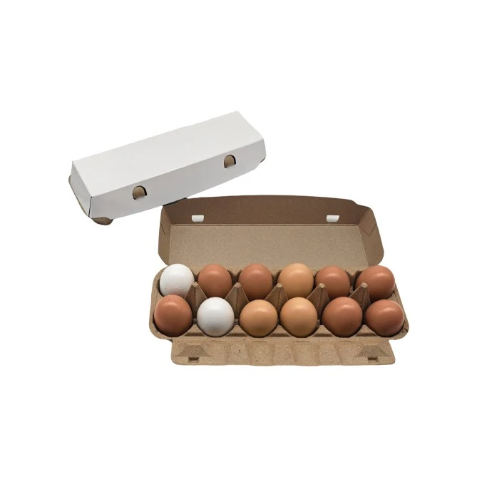 Flat Top Egg Cartons suppliers