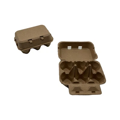 carton-of-6-eggs carton-of-6-eggs