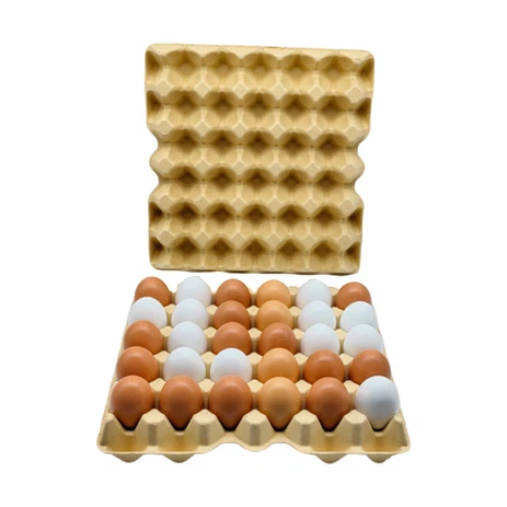 bamboo pulp egg tray 01 bamboo pulp egg tray 01