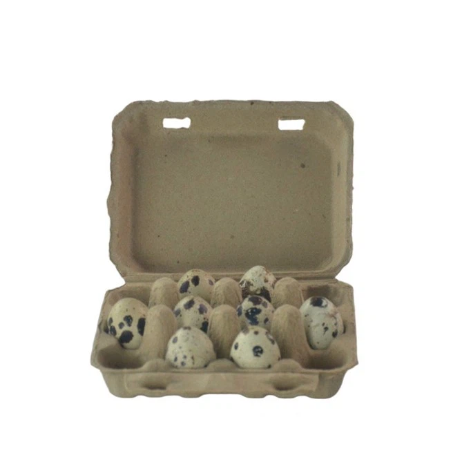 egg-cartons-for-quail-eggse76d0 egg-cartons-for-quail-eggse76d0