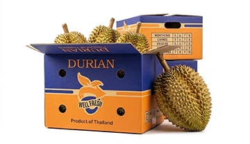 Don't Let Poor Packaging Ruin Your Durian Export: A Practical Guide