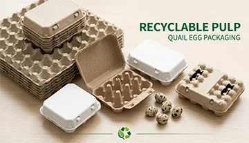 Recyclable Pulp Quail Egg Cartons And High-Capacity Transport Trays To Solve ...