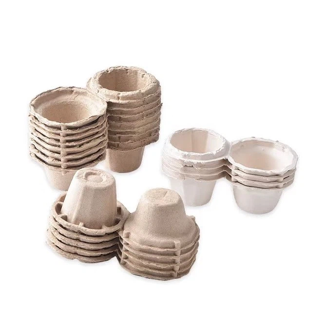 One Carton Of Egg high quality