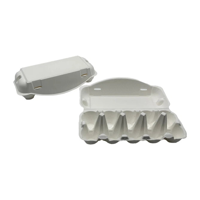 Biodegradable Egg Cartons