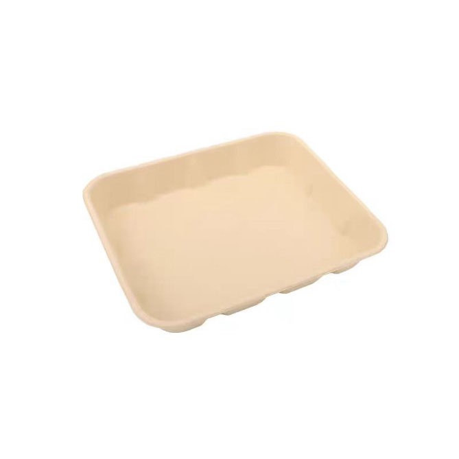 Biodegradable Serving Trays