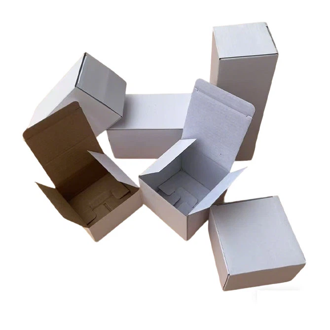 Carton Packaging Box